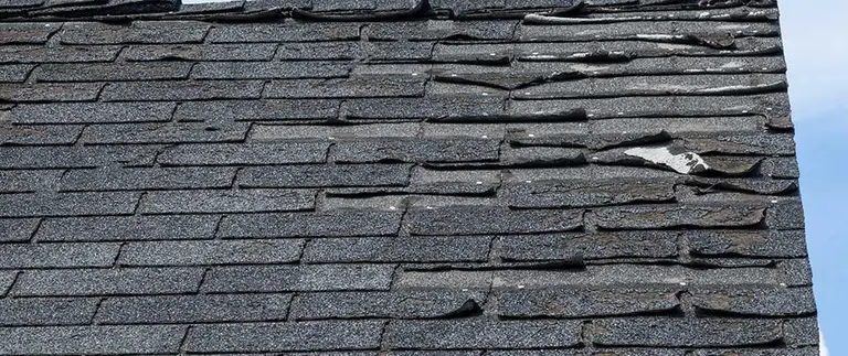 Root Rot Will Surely Reduce the Life of Your Roof