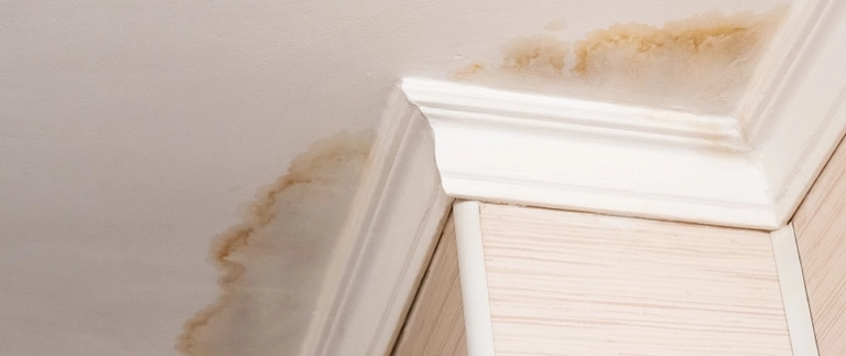 Roof Leak Repair